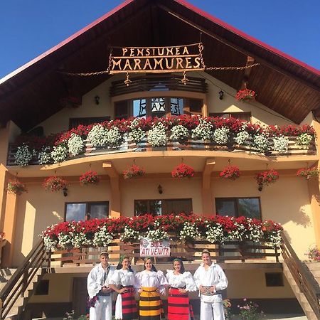 Pensiunea Maramures Окна-Шугатаг Экстерьер фото