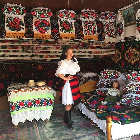 Pensiunea Maramures Окна-Шугатаг Экстерьер фото