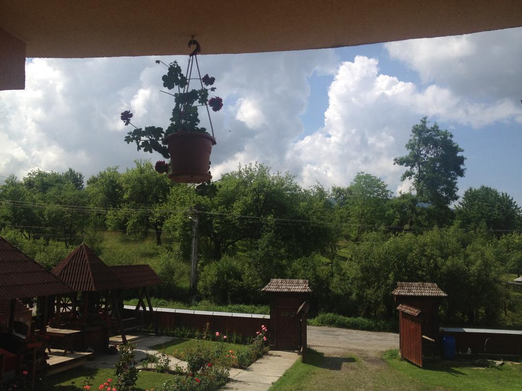 Pensiunea Maramures Окна-Шугатаг Экстерьер фото
