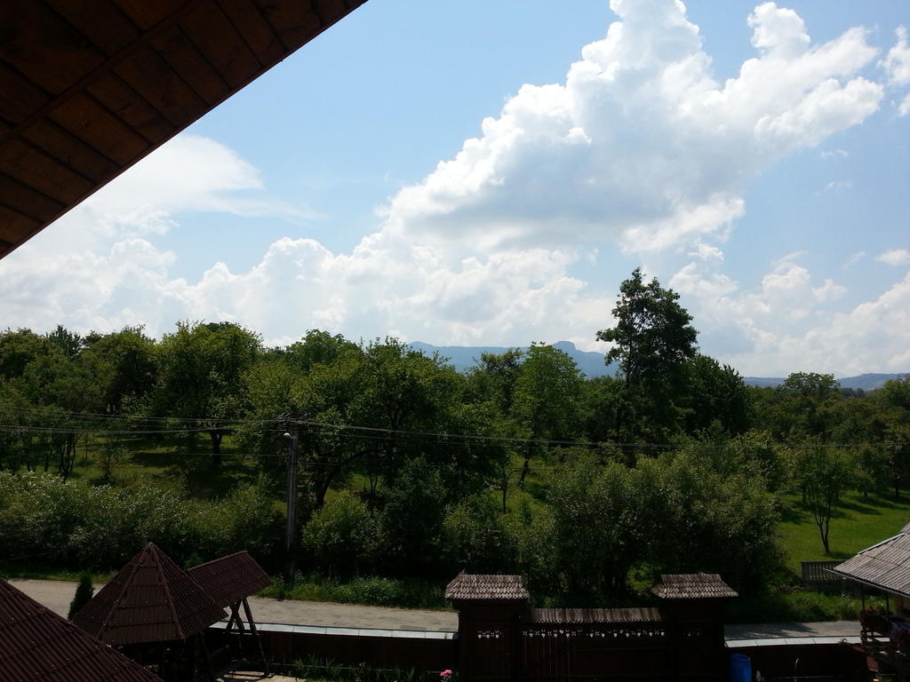 Pensiunea Maramures Окна-Шугатаг Экстерьер фото