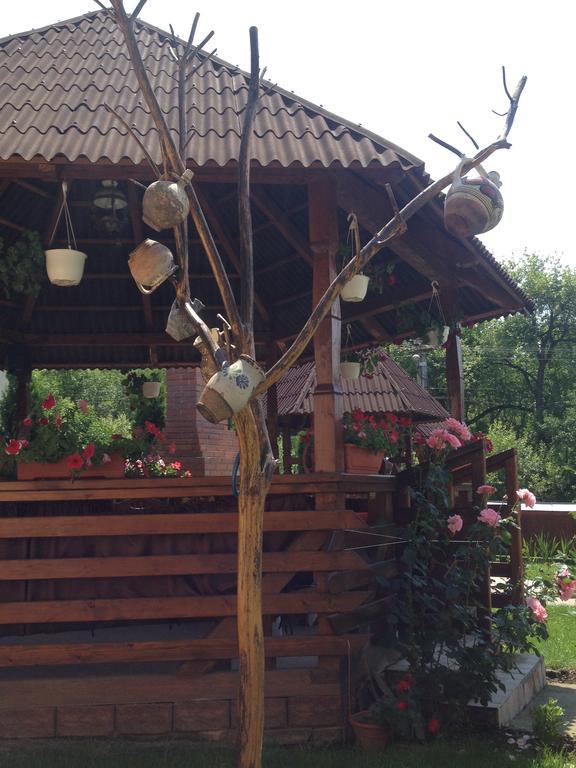 Pensiunea Maramures Окна-Шугатаг Экстерьер фото