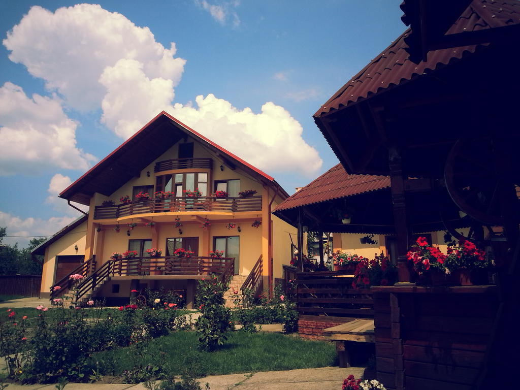 Pensiunea Maramures Окна-Шугатаг Экстерьер фото