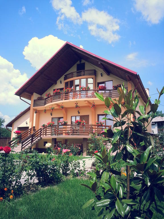 Pensiunea Maramures Окна-Шугатаг Экстерьер фото