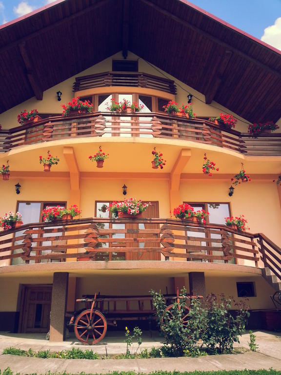 Pensiunea Maramures Окна-Шугатаг Экстерьер фото