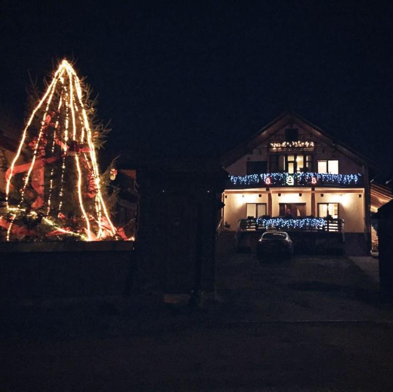 Pensiunea Maramures Окна-Шугатаг Экстерьер фото
