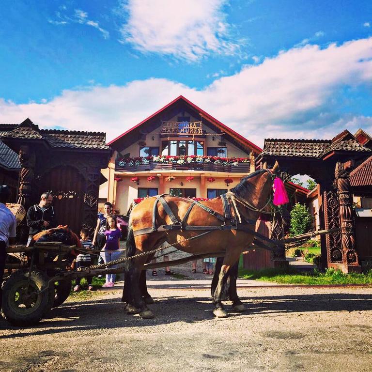 Pensiunea Maramures Окна-Шугатаг Экстерьер фото