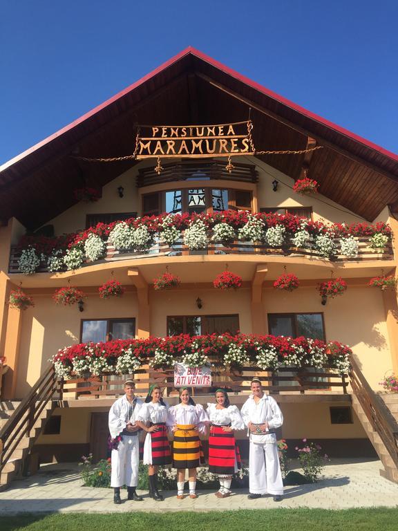 Pensiunea Maramures Окна-Шугатаг Экстерьер фото